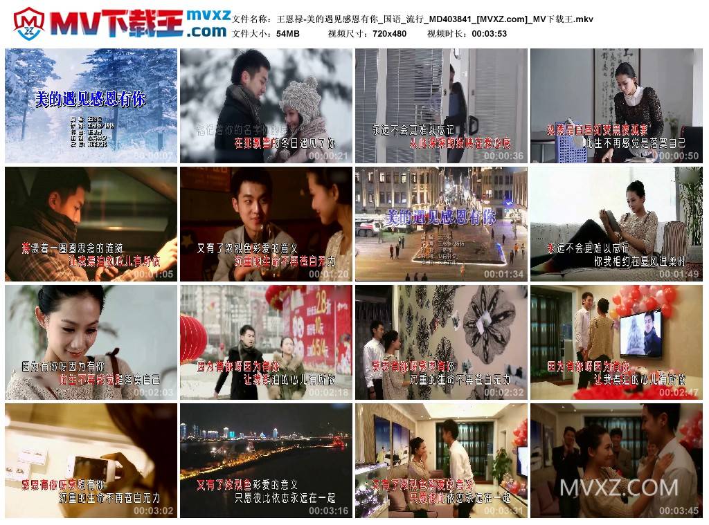 王恩禄-美的遇见感恩有你_国语_流行_MD403841